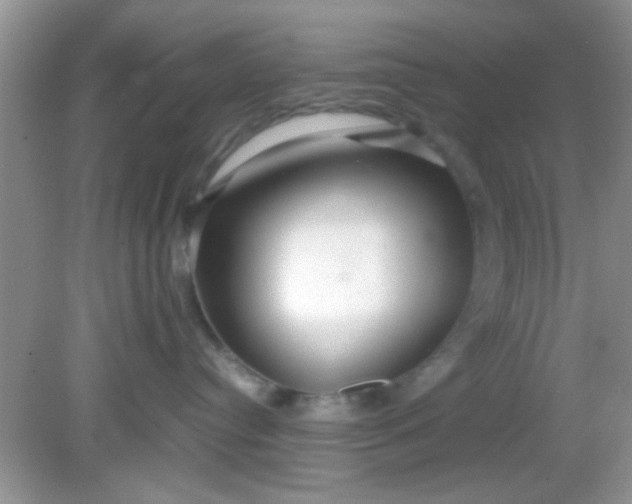 X0000081610384200701291433