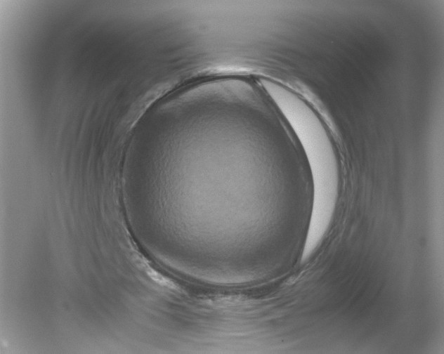 X0000081610385200701291433