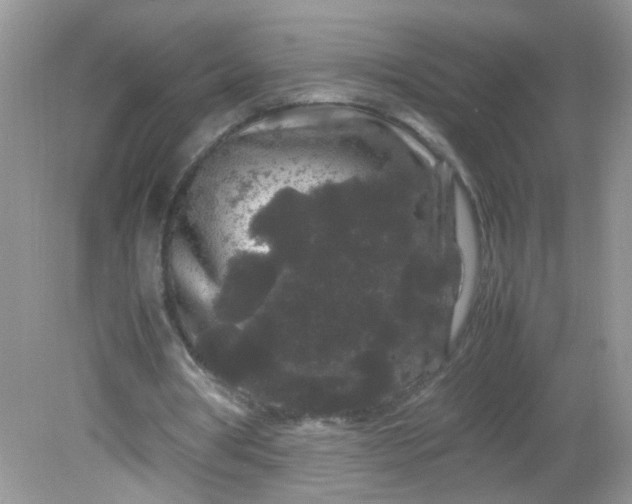 X0000081610386200701291433