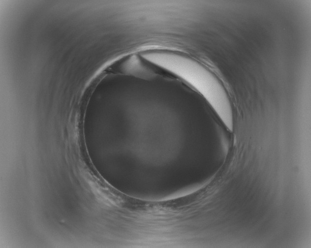 X0000081610387200701291432