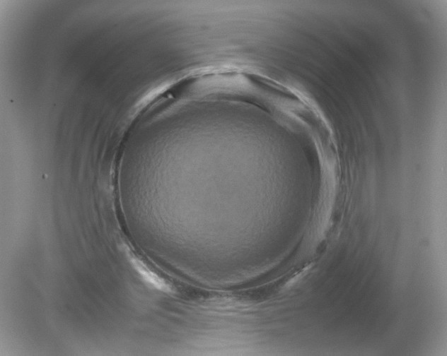 X0000081610389200701291432