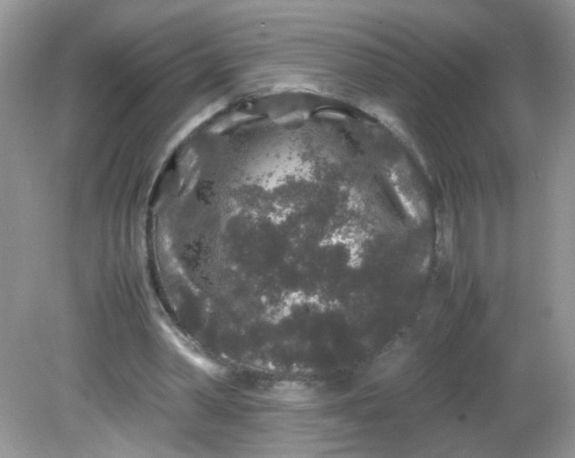 X0000081610390200701291432