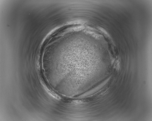 X0000081610392200701291432