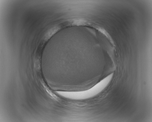 X0000081610393200701291432