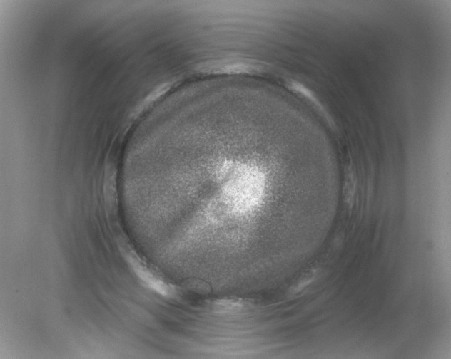 X0000081610394200701291432