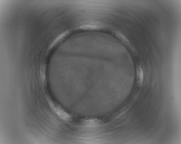 X0000081610396200701291432