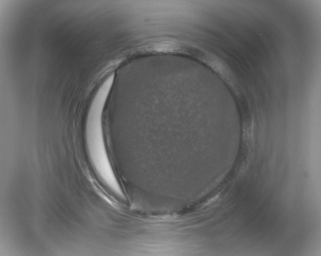 X0000081610397200701291432