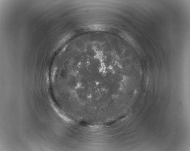 X0000081610398200701291432