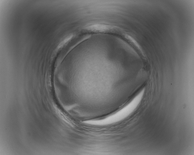 X0000081610399200701291432