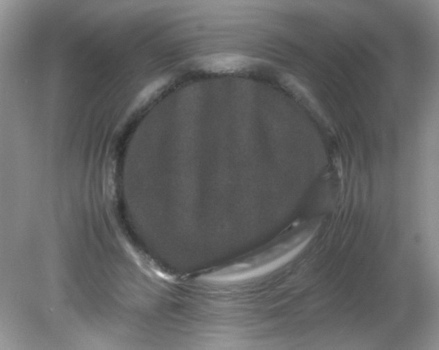 X0000081610400200701291432