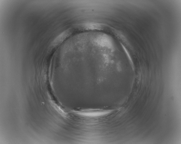 X0000081610402200701291432