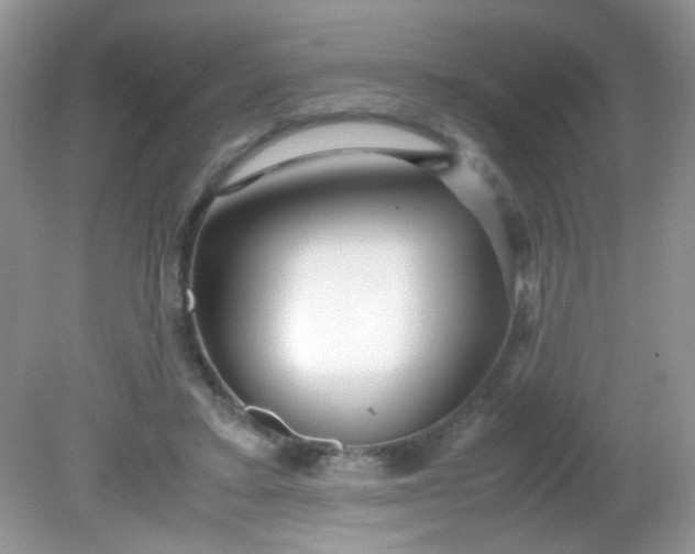 X0000081610403200701291432