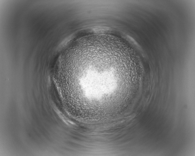 X0000081610405200701291432