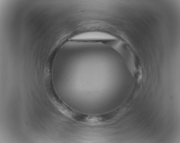 X0000081610407200701291432