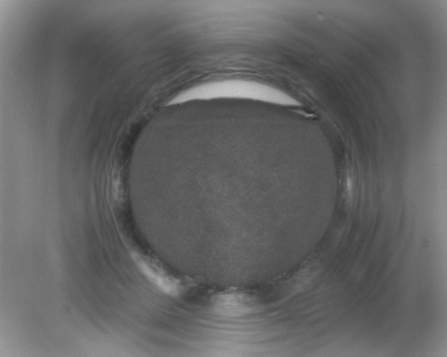 X0000081610408200701291432