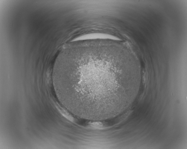 X0000081610409200701291432