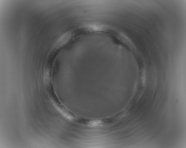 X0000081610410200701291432