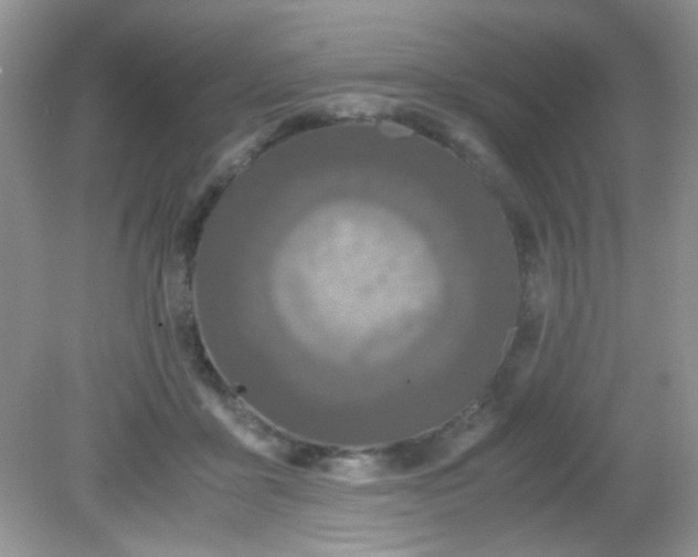 X0000081610411200701291432