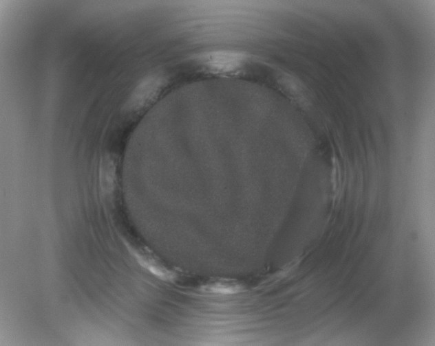 X0000081610412200701291432