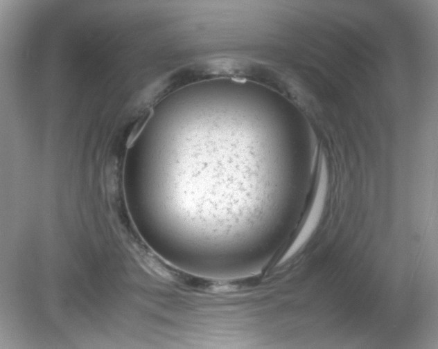 X0000081610413200701291432