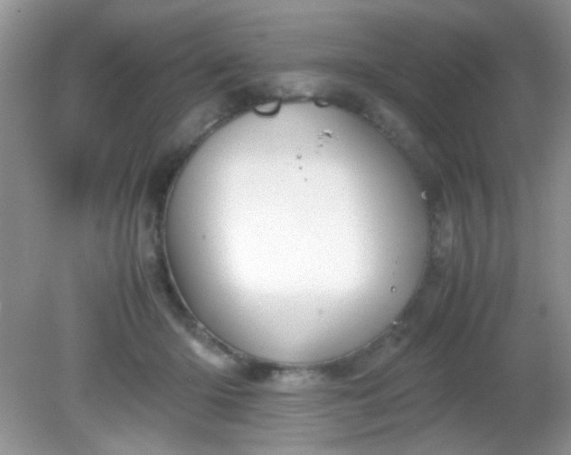 X0000081610414200701291432