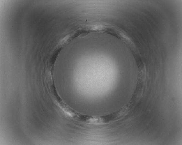 X0000081610415200701291432