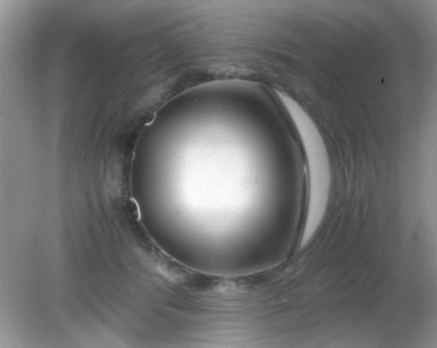 X0000081610416200701291432