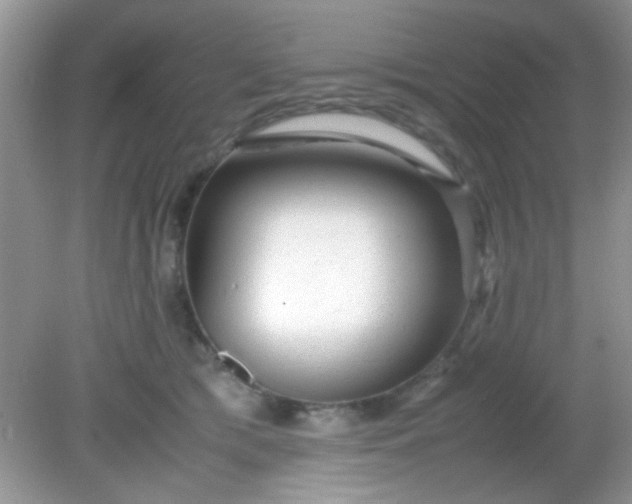 X0000081610417200701291432