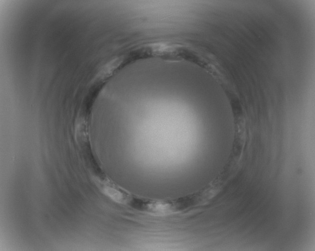 X0000081610419200701291432