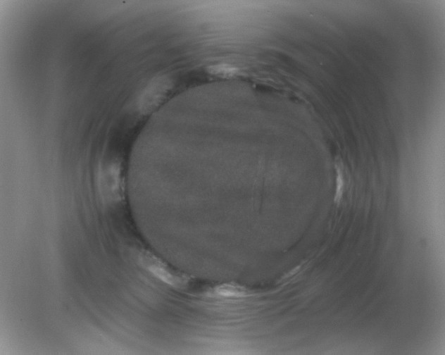 X0000081610420200701291432