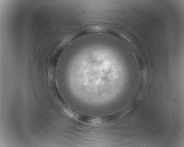 X0000081610423200701291432