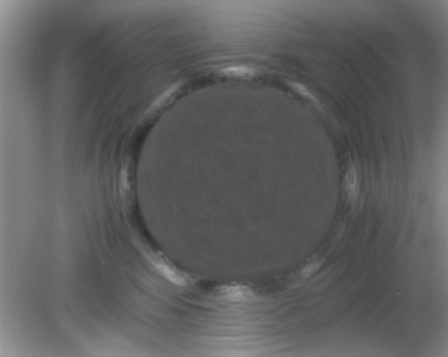 X0000081610424200701291432