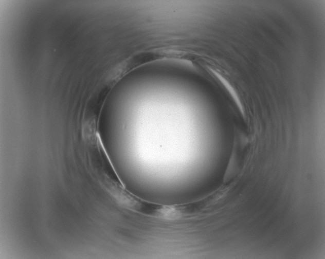 X0000081610425200701291432