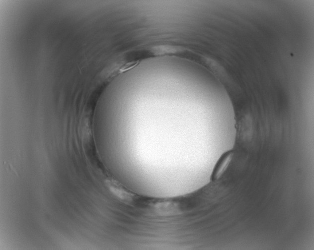 X0000081610426200701291432