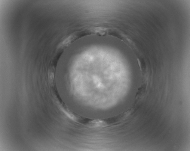 X0000081610427200701291432