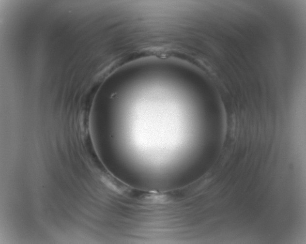 X0000081610428200701291432