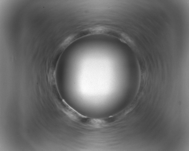 X0000081610429200701291432