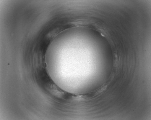 X0000081610430200701291432