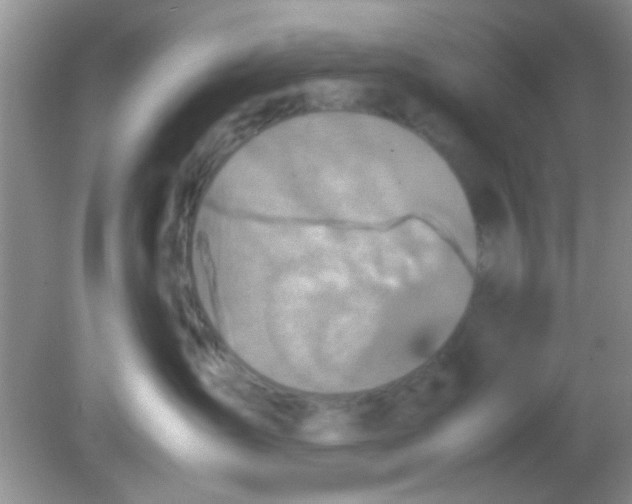 X0000081610431200701291432