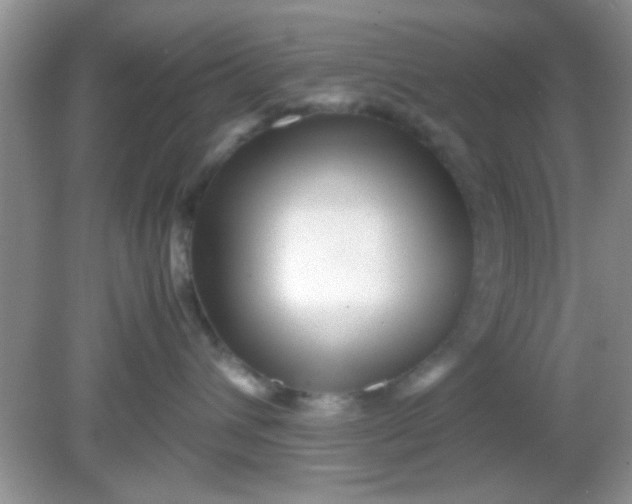 X0000081610432200701291432