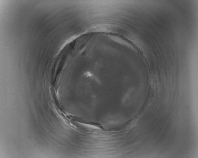 X0000081610434200701291431