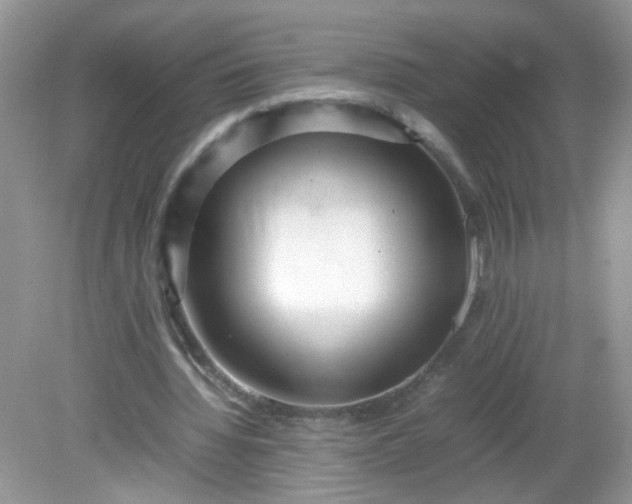 X0000081610436200701291431