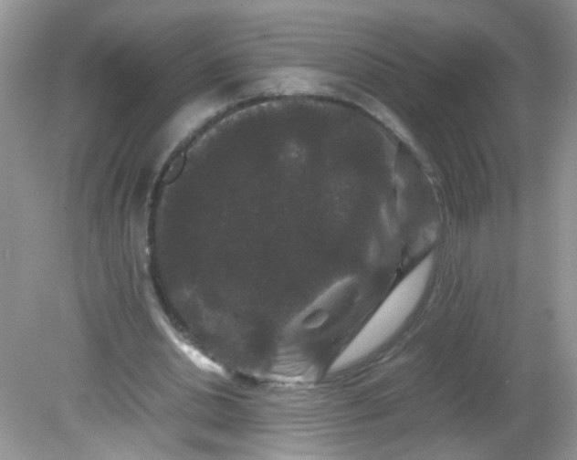 X0000081610438200701291431