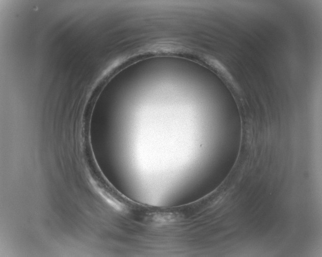 X0000081610439200701291431