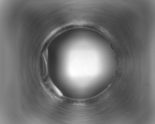 X0000081610440200701291431