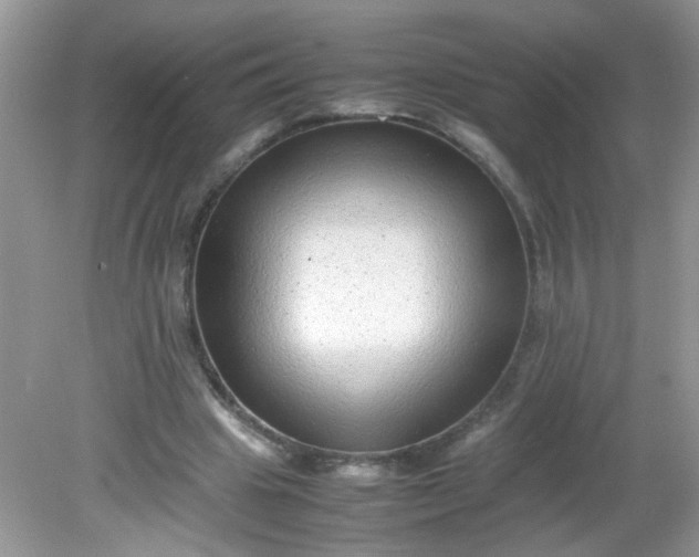 X0000081610441200701291431