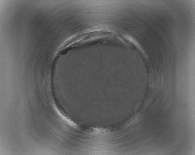 X0000081610442200701291431