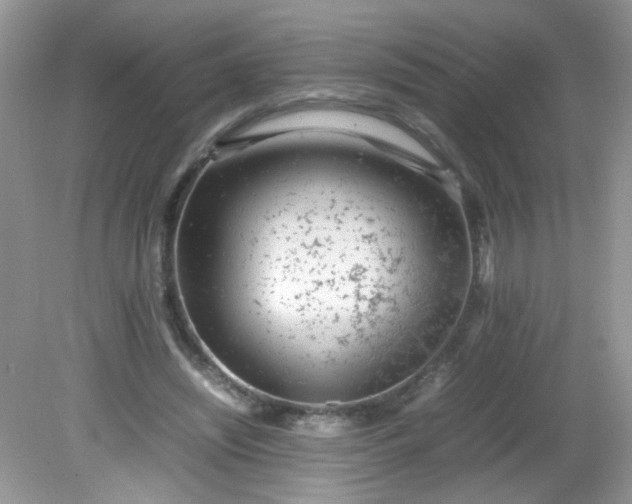 X0000081610444200701291431