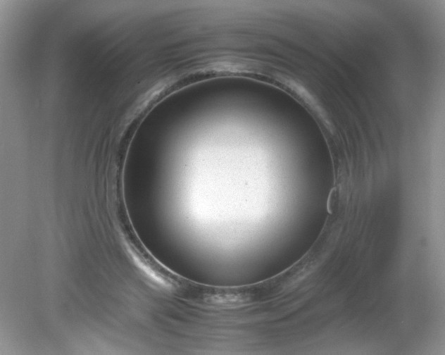 X0000081610445200701291431