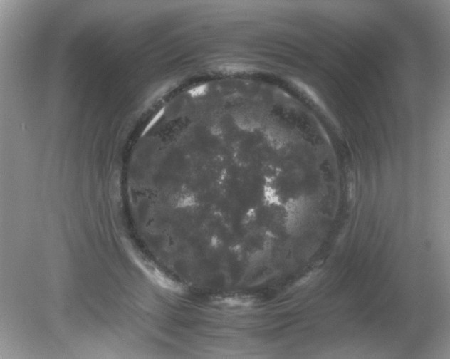 X0000081610447200701291431